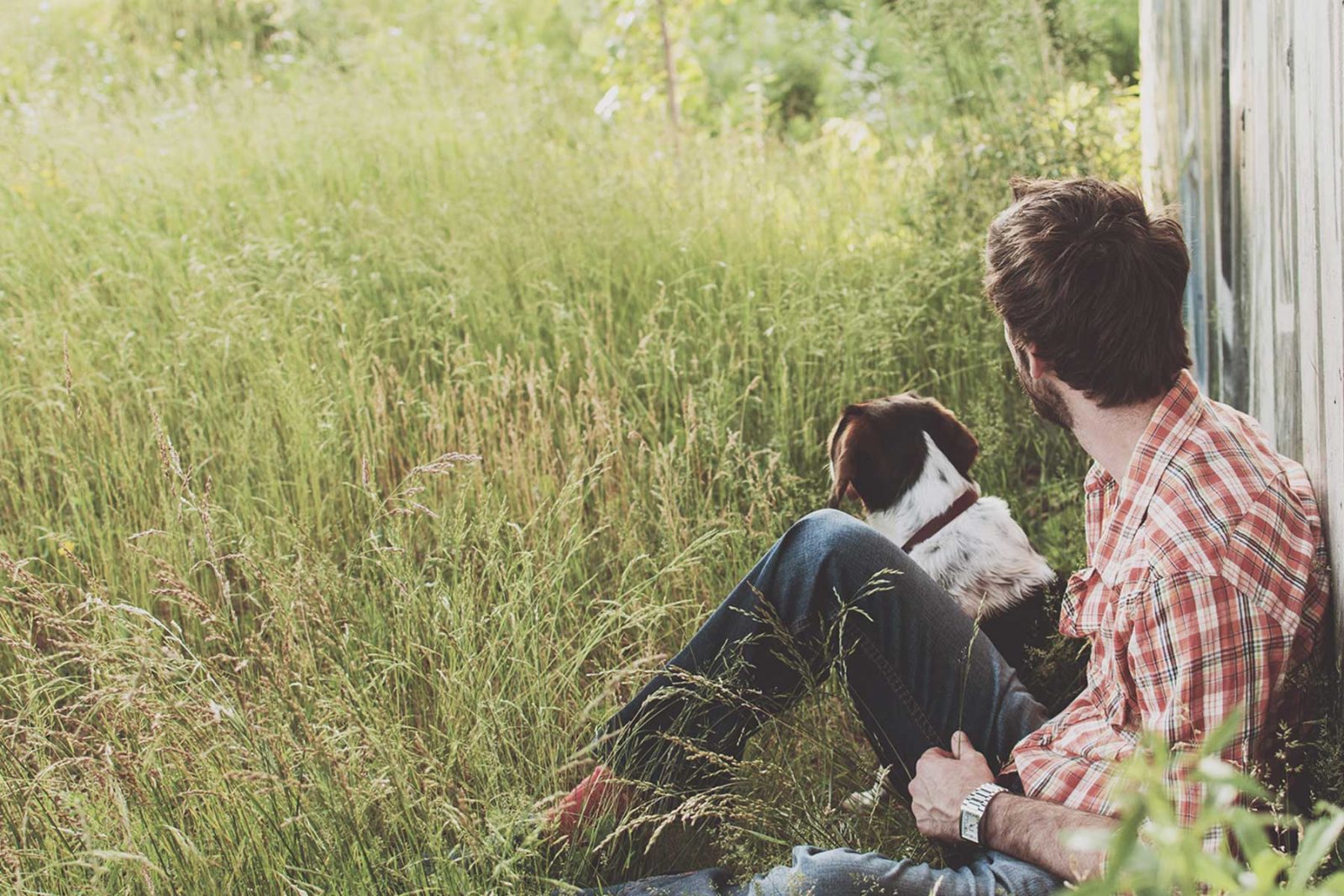 Man sat with dog in a field