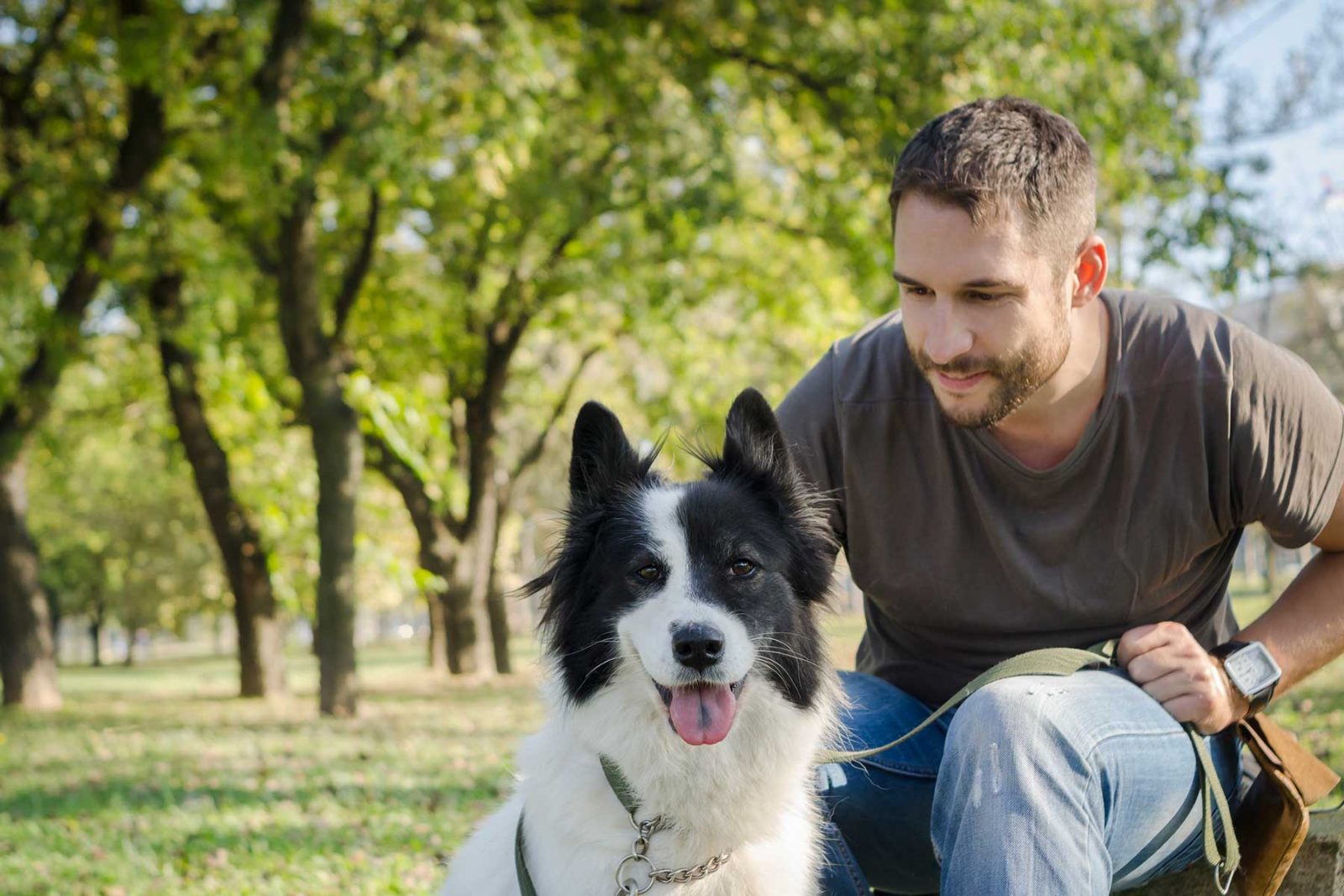 Man and his dog playing in a park