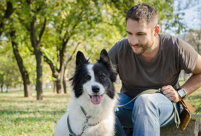 Man and his dog playing in a park
