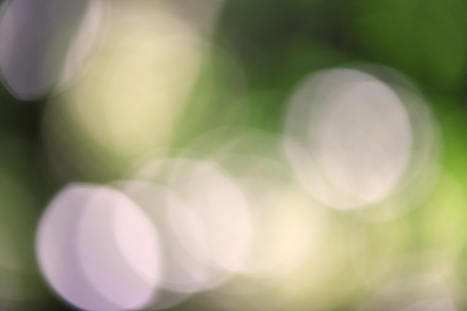 Abstract image of lights blurred
